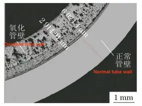 Partial morphology of polished cross-section of sample No. 2