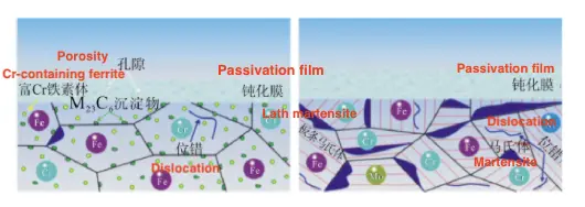 The influence of microstructure and material composition on the formation dynamics of passive film (the blue shaded area is the dislocation entanglement)