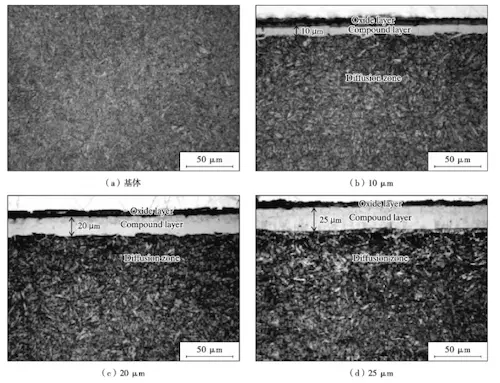 Microstructure of maxrix and the different nitriding layer thickness