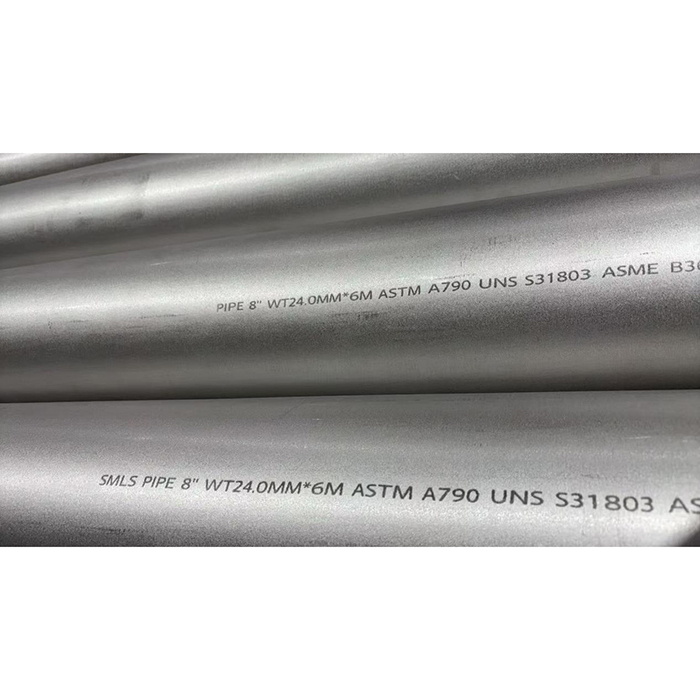 Duplex Steel Seamless Pipe, ASTM A790 UNS S31803, 8 IN, 6 M