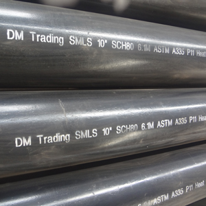 ASTM A335 Hot Rolled SMLS Pipe, DN250, ANSI B36.10