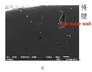 SEM morphology of metallographic sample 1