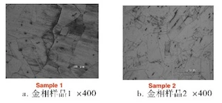 Radial section structure of metallographic samples