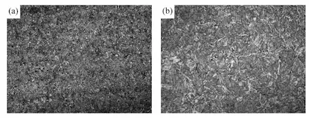 Microstructure of ASTM A350 LF3 steel specimen I after quenching at 880℃ and tempering at 650℃