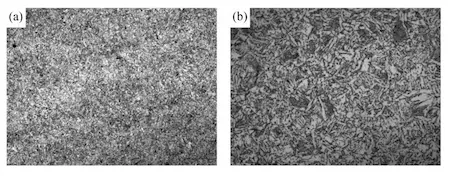 Microstructure of ASTM A350 LF3 steel specimen II quenched at 860℃ and tempered at 670℃