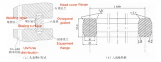 Reactor Flange Sealing Diagram