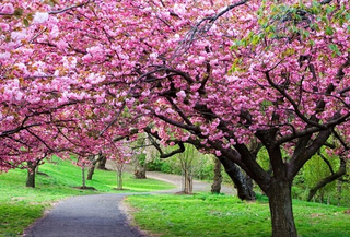 Taiyuan Seeks After Green GDP - Landee Flange