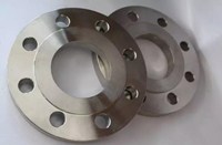 Steel Flanges