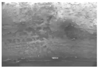 Microscopic morphology of the crack fracture