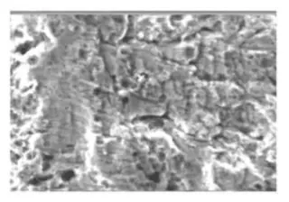 Microscopic morphology of the crack fracture