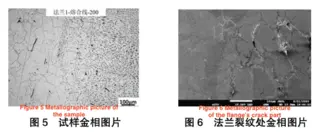Metallographic picture