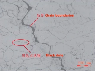 Metallographic diagram