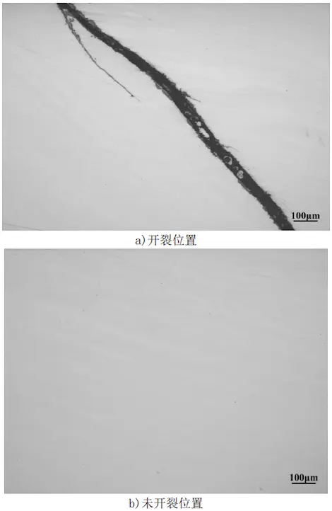 Morphology of inclusions in high-neck flanges