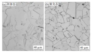 Photos of intergranular corrosion of the solid solution state and sensitized state of the sample in the uncorroded area