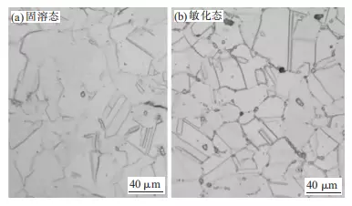 Photos of intergranular corrosion of the solid solution state and sensitized state of the sample in the uncorroded area