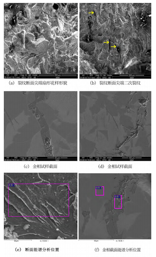 Morphology and energy dispersive spectroscopy analysis of the crack section