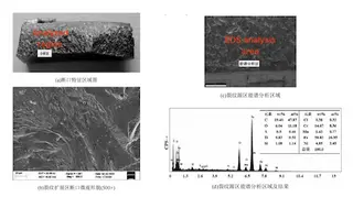 Fracture surface characteristic region