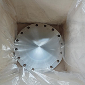 ANSI B16.5 SS Forged Blind Flange, 18 Inch