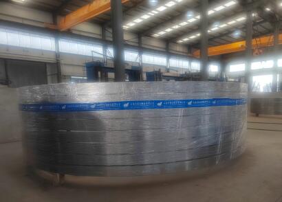 Ring Flange