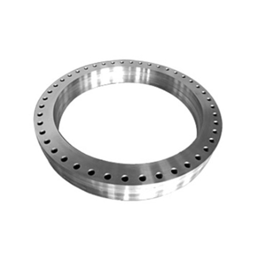 Forged Ring Flange, SS 304, ASTM A105