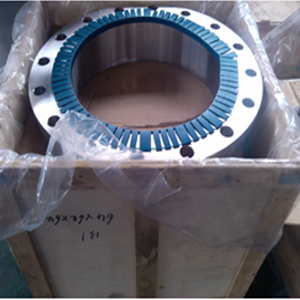 A182 SS Welded Neck Flange, RF, PN20, DN600