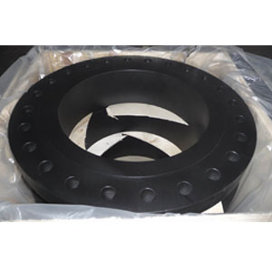 ANSI Forged Welding Neck Flange, SCH STD