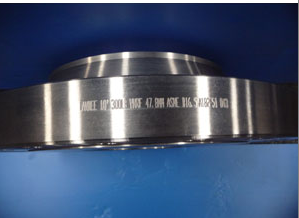 ANSI B16.5 Weld Neck Flange, ASTM A182 F51, DN250, PN50