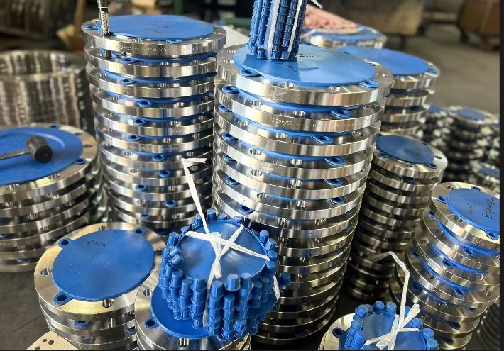 Duplex Stainless Steel WN Flange