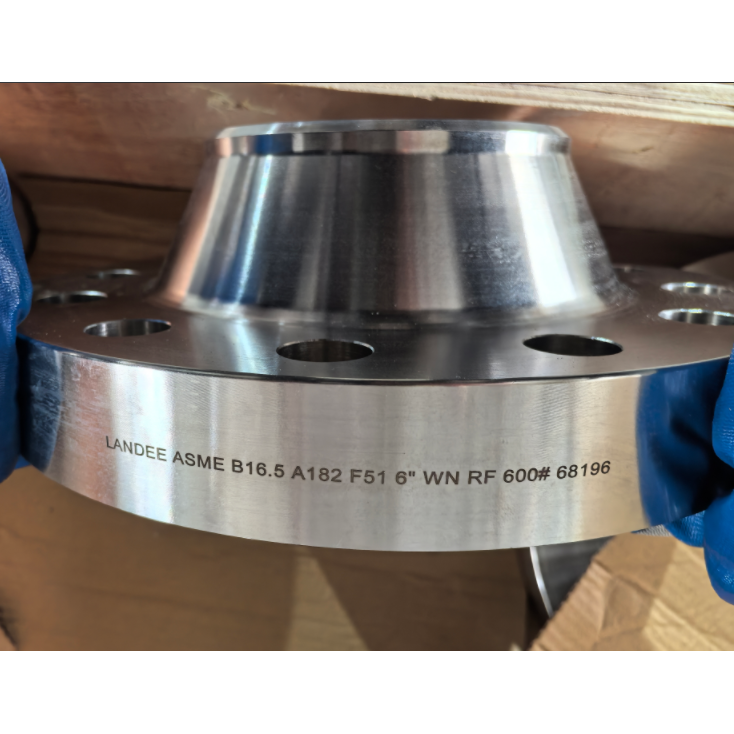 Duplex Steel WN Flange, ASME B16.5, F51, 6 Inch, CL600, RF