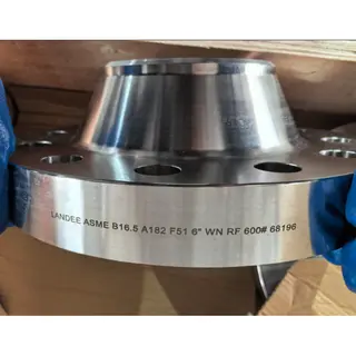 Duplex Steel WN Flange, ASME B16.5, F51, 6 Inch, CL600, RF