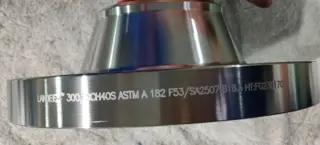 Super Duplex 2507 Weld Neck Flange