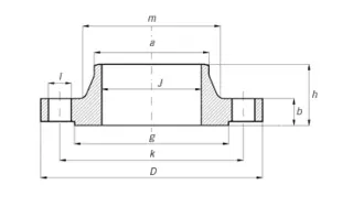 Golden Alloy Steel Welding Neck Flange, PN 100 - Landee Flange
