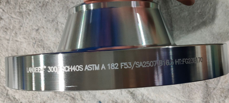 Super Duplex 2507 Weld Neck Flange