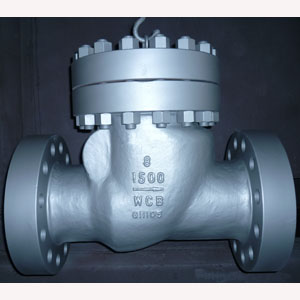 Classification and function of check valve