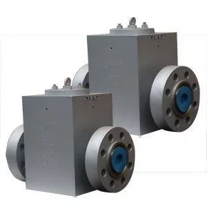 Swing Check Valves