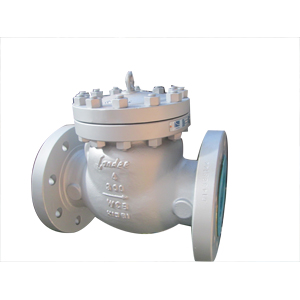 Check Valve Check Valve