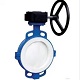 Introduction to the Butterfly Valve