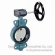 Applications of Butterfly Valves and Gate Valves