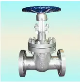 Analyses on Development Factors of the Chinese Valve Industry (Part Two)