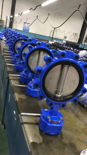 Epoxy Coated Butterfly Valve