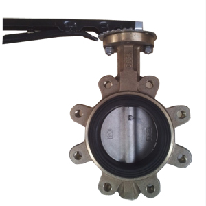 Aluminium Bronze Lug Butterfly Valve, DN80, PN20
