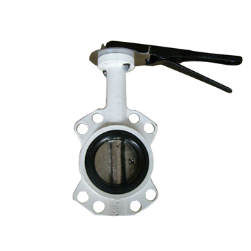 API CS Butterfly Valve, 4 Inch, Resilience Seat