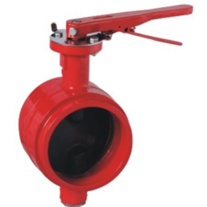 DI Centerline Butterfly Valve, Grooved, 2 Inch