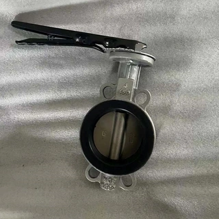 Centric Wafer Butterfly Valve, API 609, ASTM A216 WCB, 4 IN