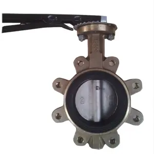 Aluminium Bronze Lug Butterfly Valve, DN80, PN20