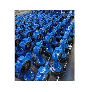 Cast Iron GGG40 Butterfly Valve, Wafer, 10 IN, 150 LB