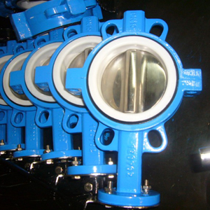 Split Butterfly Valve, SS316 Disc, PN16, Lever Op