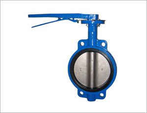 Wafer Butterfly Valve, DN80, WCB, 600LB