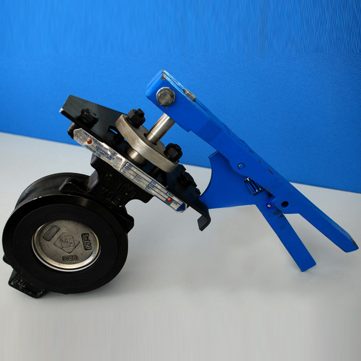 High Temperature Butterfly Valve, DN32-1600, 600#