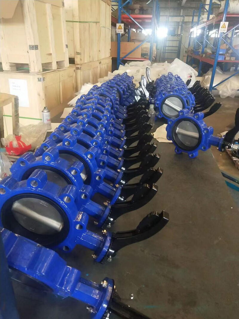 Cast Iron Lug Butterfly Valve